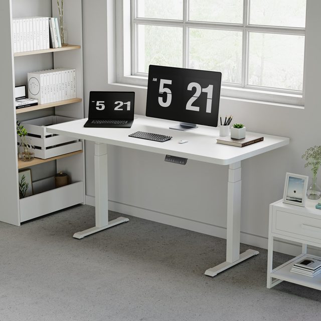 OdinLake  Dual Motor 3-stage Leg Standing Desk S450 60"x30"
