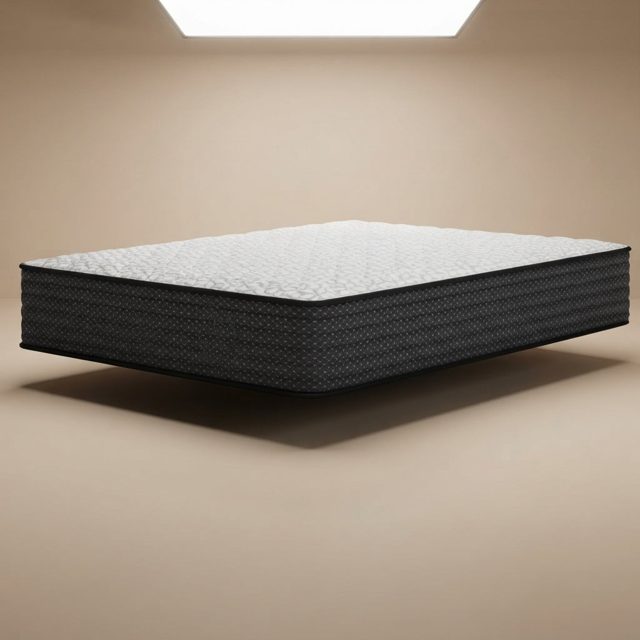 Limited Edition Firm / Plush / PT Mattress