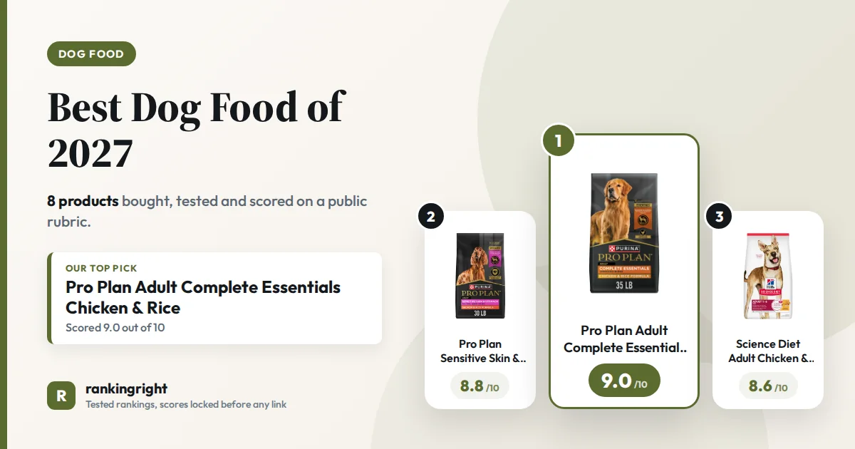 Best Dog Food of 2027: our top three picks with scores