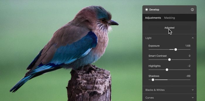 Luminar - Easy Photo Editor | Software for Mac & PC(6)
