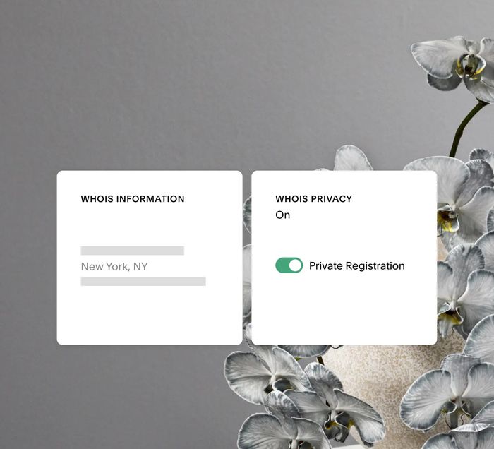 Squarespace Domains photo 2