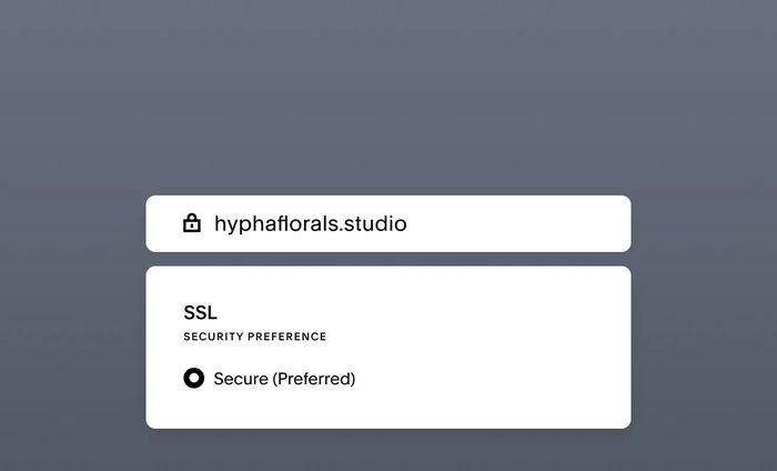 Squarespace Domains photo 4