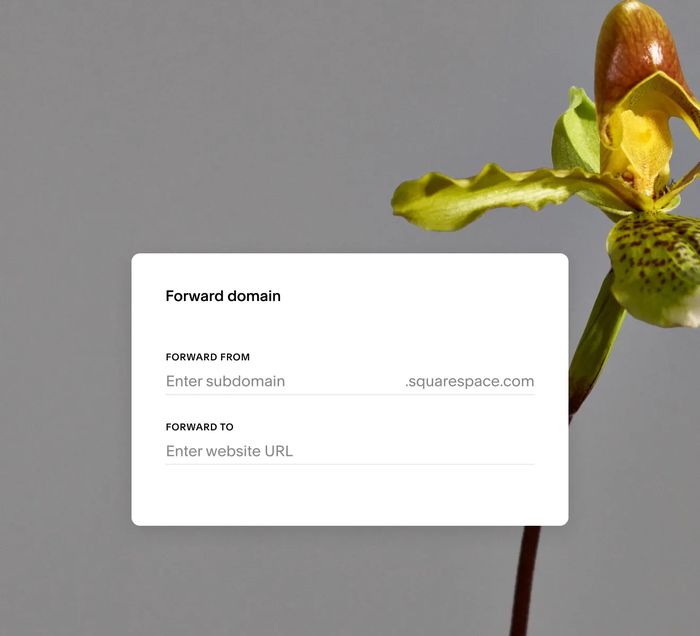 Squarespace Domains photo 5