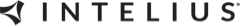 Intelius Intelius